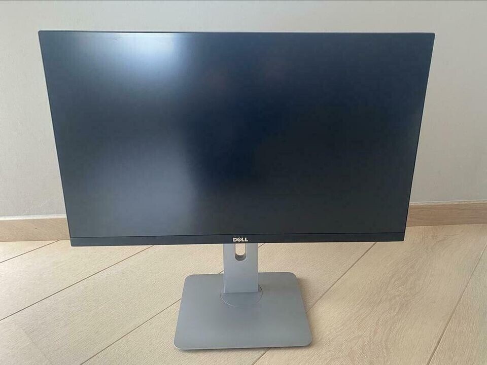 dell-25-inch-big-1