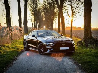 Ford Mustang 5.0 V8 GT - Manueel