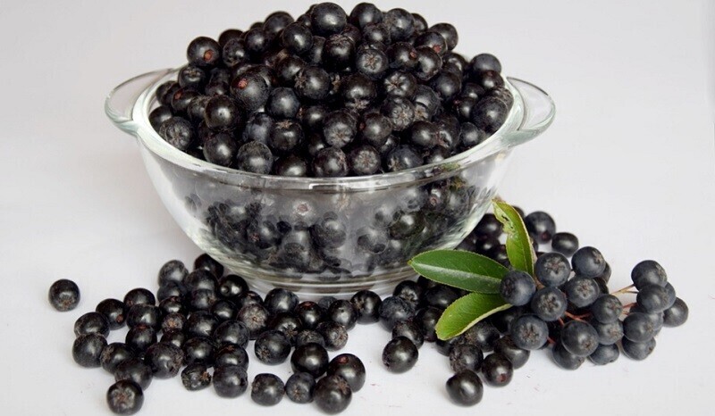 vente-aronia-en-gros-du-fabricant-a-des-prix-optimaux-big-2