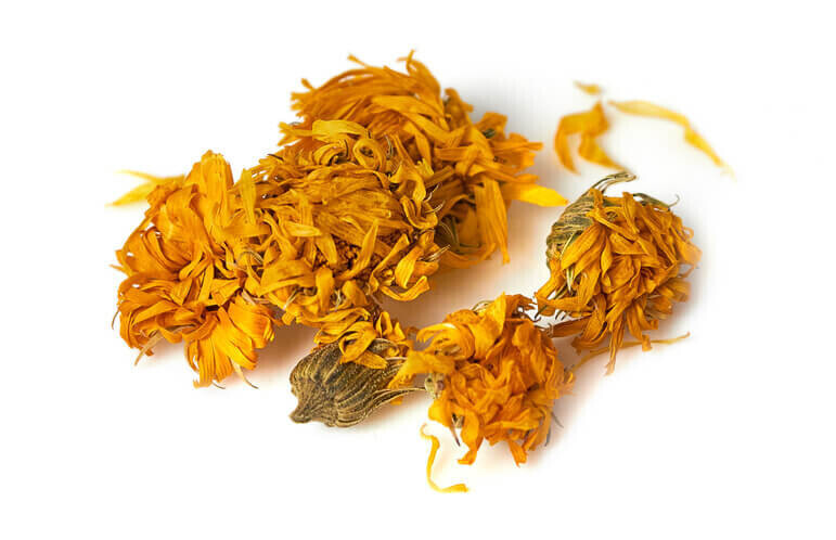 vente-fleurs-de-calendula-en-gros-du-fabricant-a-des-prix-optimaux-big-3