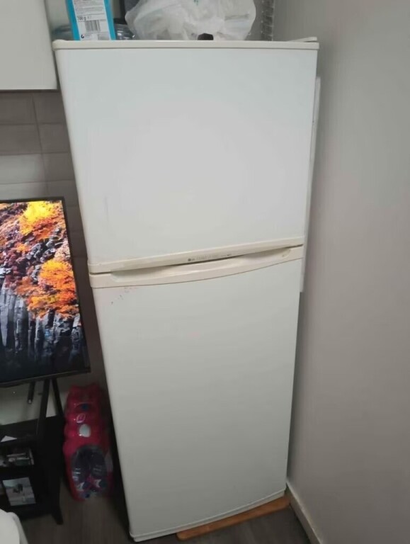 fridge-freezer-big-2