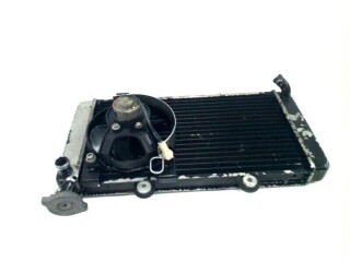 BMW F 650 437V RADIATEUR