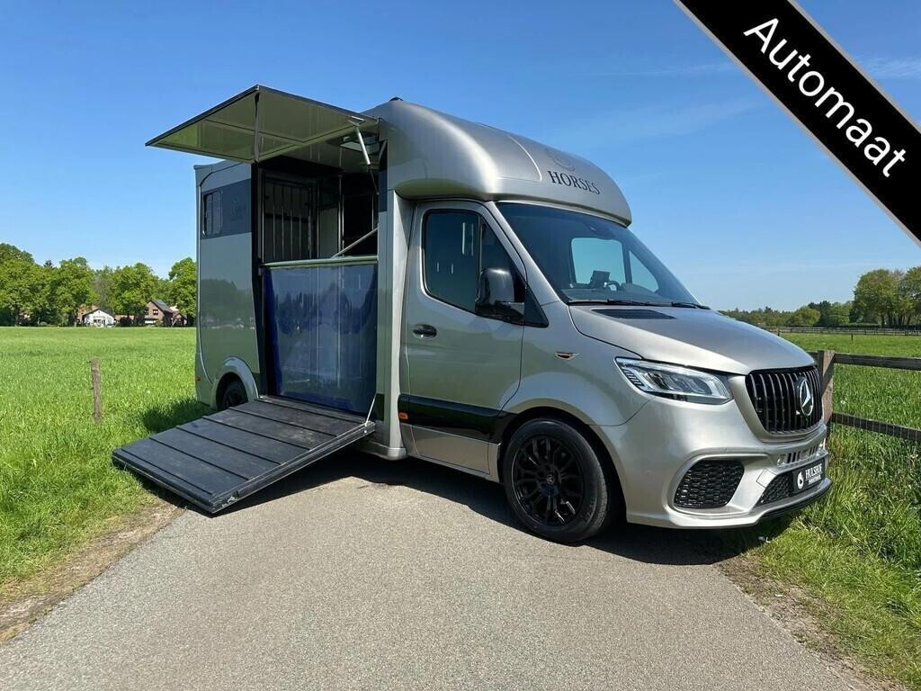 mercedes-benz-sprinter-315-amg-2-paards-paardenvrachtwagen-b-big-0