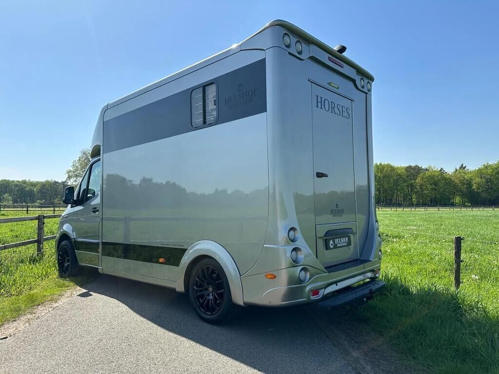 mercedes-benz-sprinter-315-amg-2-paards-paardenvrachtwagen-b-big-2