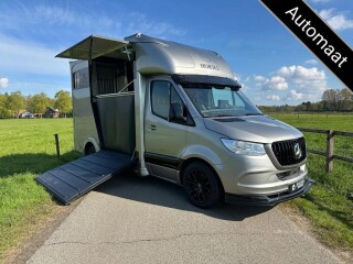 Mercedes-Benz Sprinter 317 AMG 2-paards paardenvrachtwagen B