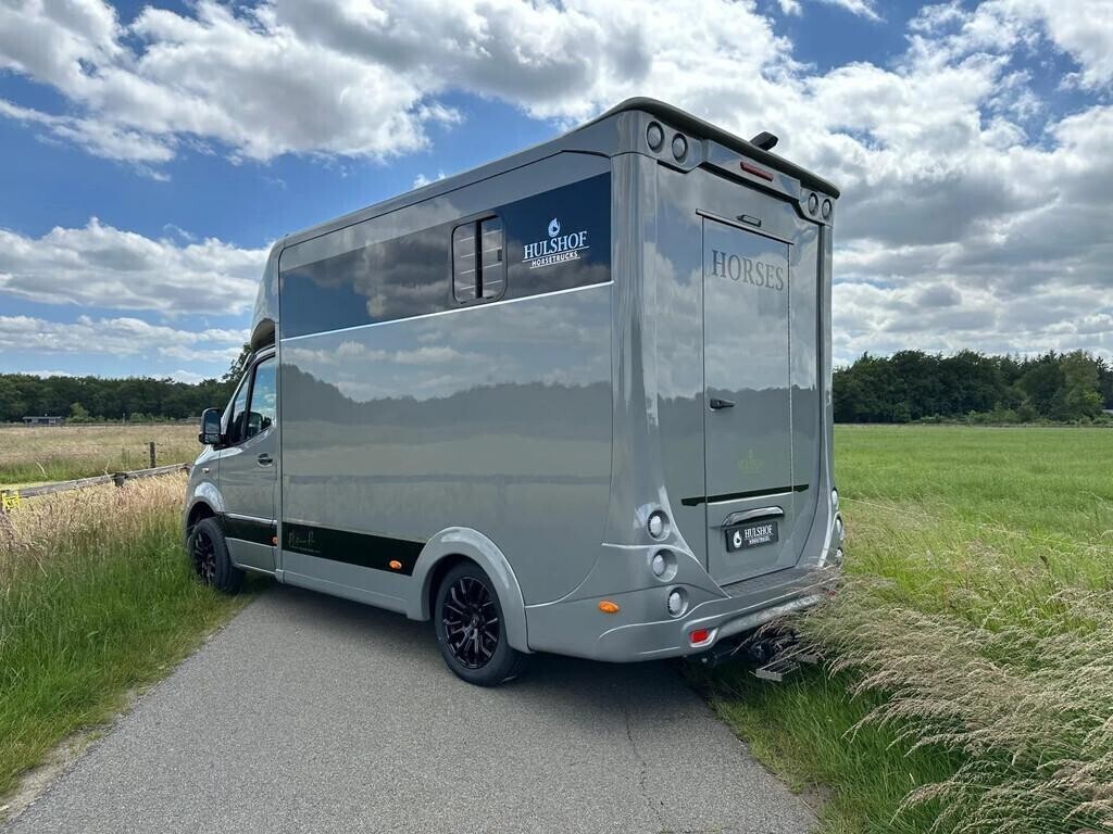 mercedes-benz-sprinter-314-amg-2-paards-paardenvrachtwagen-b-big-3