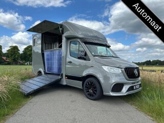 Mercedes-Benz Sprinter 314 AMG 2-paards paardenvrachtwagen B