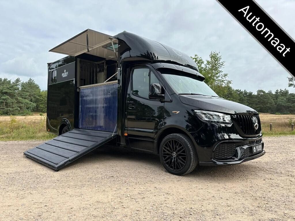 mercedes-benz-sprinter-319-amg-2-paards-paardenvrachtwagen-b-big-0