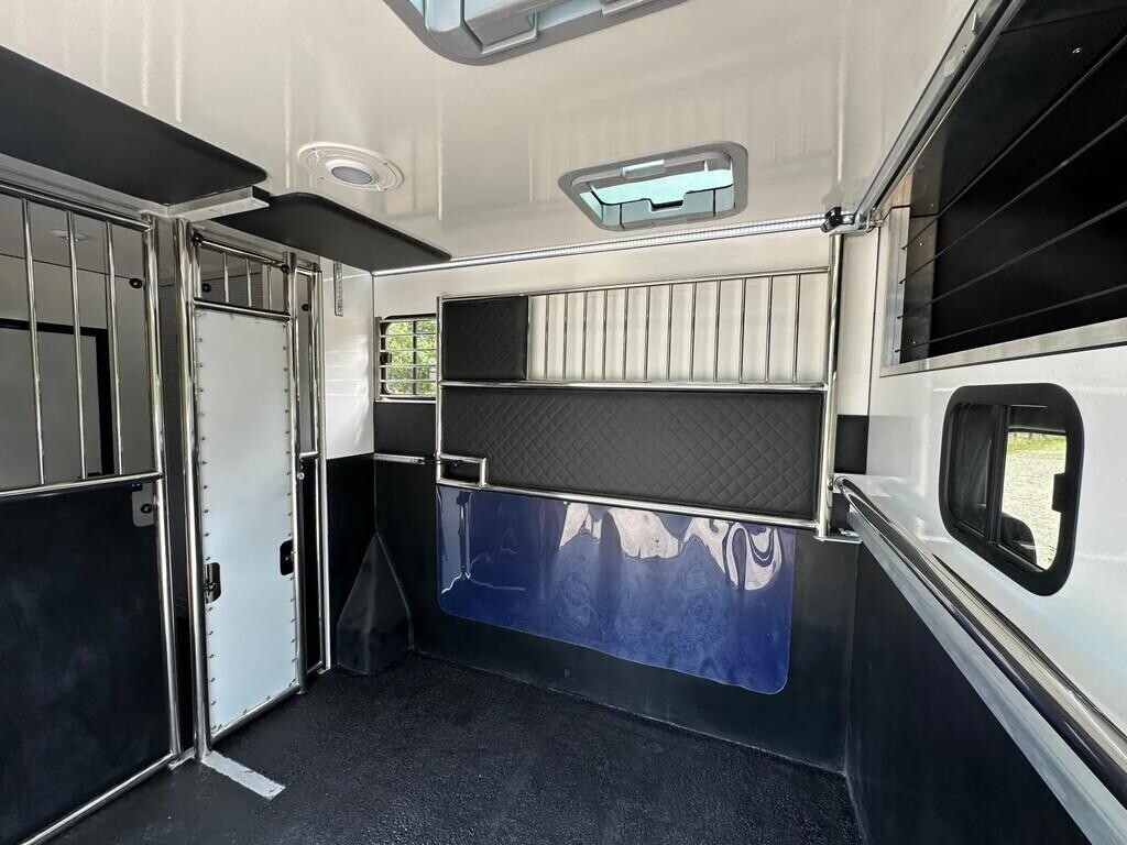 mercedes-benz-sprinter-319-amg-2-paards-paardenvrachtwagen-b-big-5