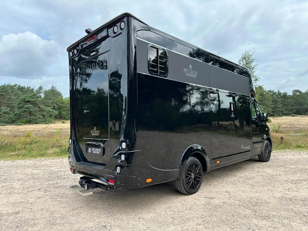 mercedes-benz-sprinter-319-amg-2-paards-paardenvrachtwagen-b-big-2