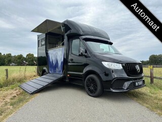 Mercedes-Benz Sprinter 315 AMG 2-paards paardenvrachtwagen B