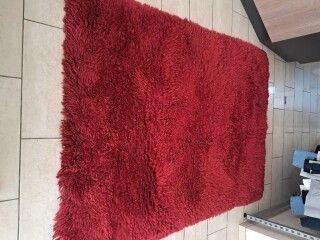 Tapis moderne pour salon