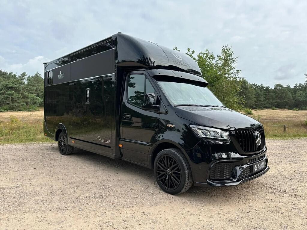 mercedes-benz-sprinter-319-amg-2-paards-paardenvrachtwagen-black-big-5