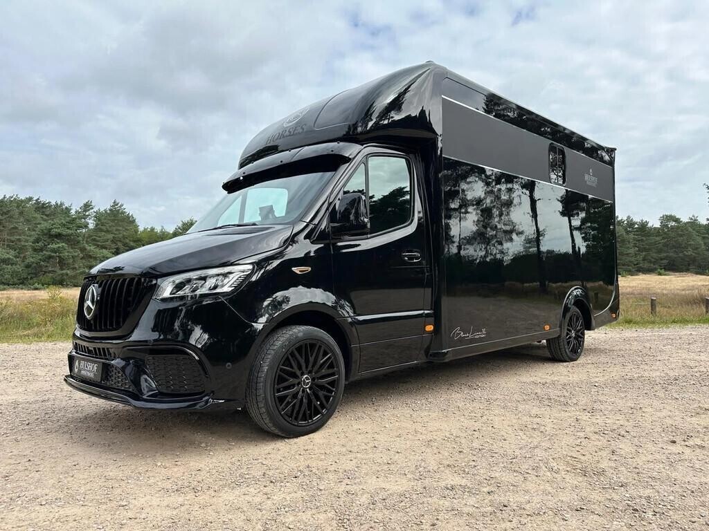 mercedes-benz-sprinter-319-amg-2-paards-paardenvrachtwagen-black-big-8